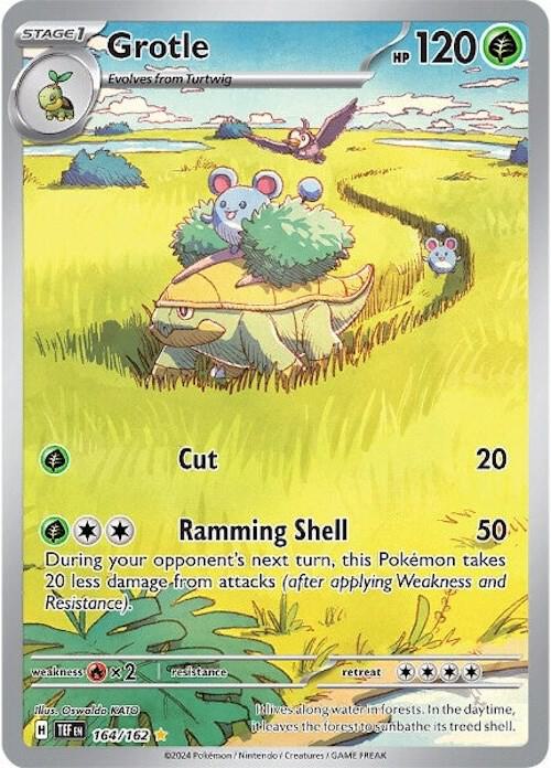 Grotle 164/162 / Illustration Rare